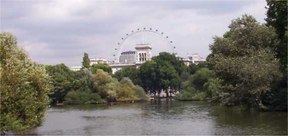 London Eye or Millenium Wheel pictured from St James Park London