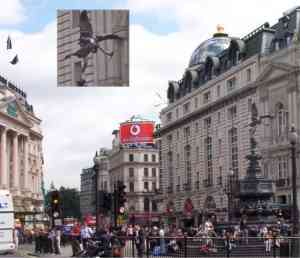 Picture of Piccadilly Circus
